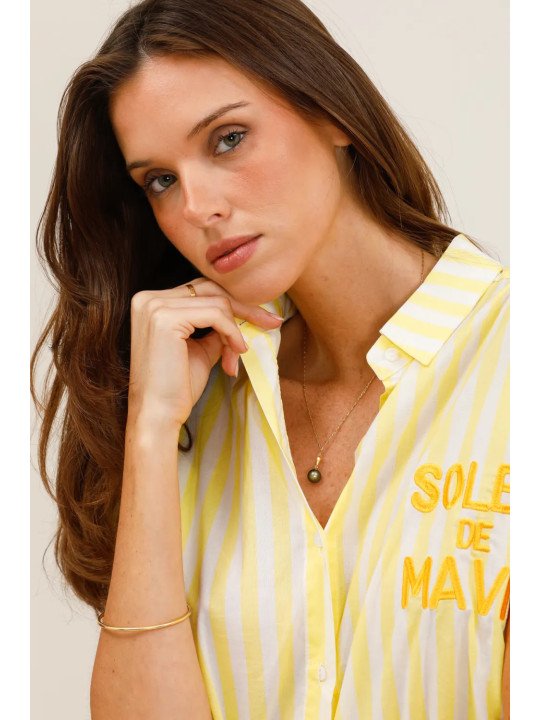 Flowy striped short-sleeved shirt with embroidery