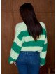 MSH5_3ce13ffffdae2f9b0a9ff360f956fd43